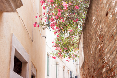 Similar image 11934714