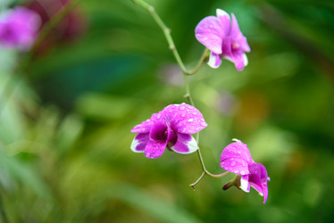 Similar image 11955170