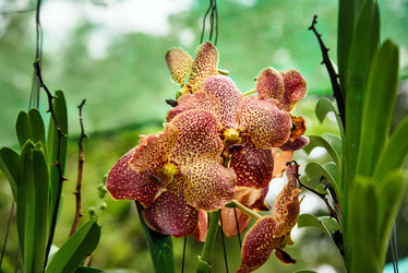 Similar image 11955172