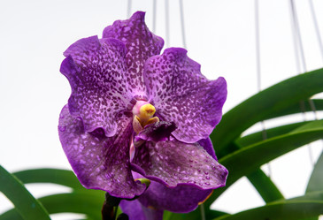 Similar image 11955089