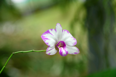 Similar image 11955090