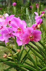 Similar image 11935440