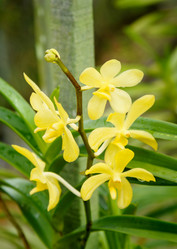 Similar image 11935441