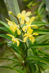 Similar image 11935442