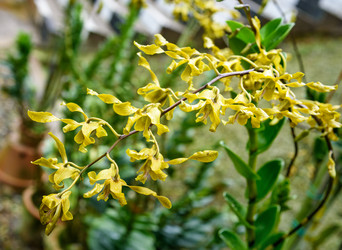 Similar image 11935443