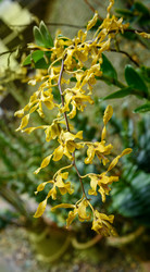 Similar image 11935444