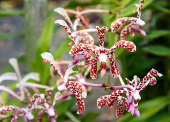 Similar image 11935446