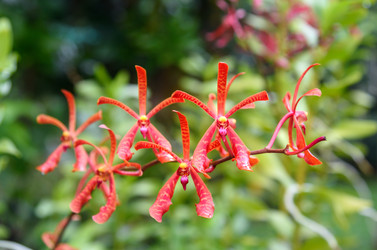 Similar image 11935447