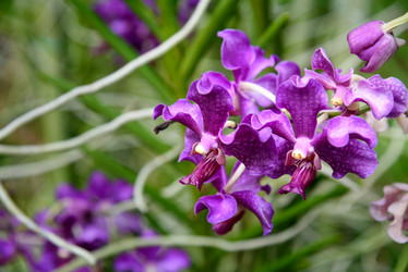 Similar image 11935448