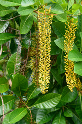 Similar image 11935450