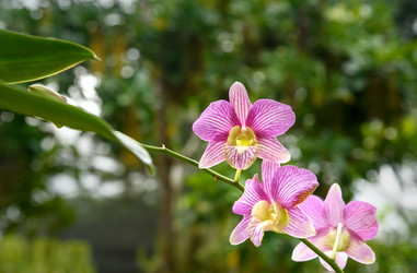 Similar image 11935453