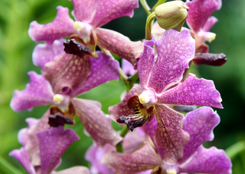 Similar image 11935454