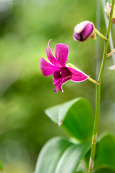 Similar image 11935455