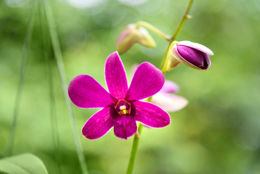 Similar image 11935456