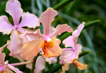 Similar image 11935457