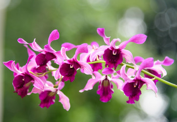 Similar image 11935462