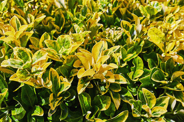 Similar image 11930919