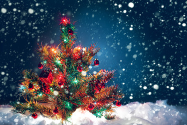 Similar image 11935326