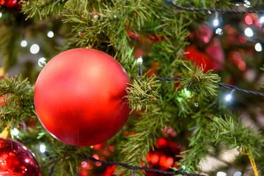 Similar image 11954893