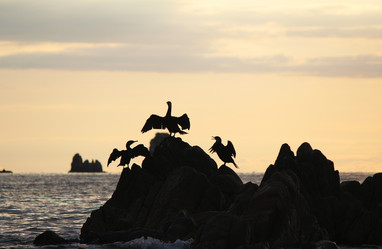 Similar image 11937584