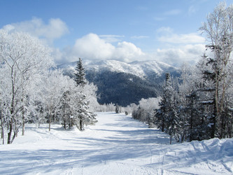 Similar image 11937597