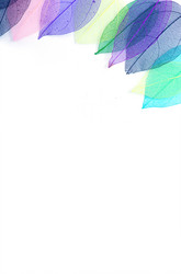 Similar image 11932932