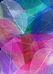 Similar image 11932934