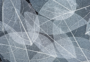 Similar image 11932935