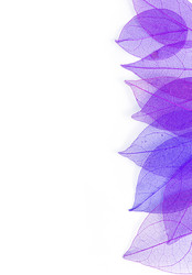 Similar image 11932939