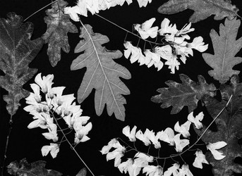 Similar image 11935502