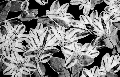 Similar image 11931560