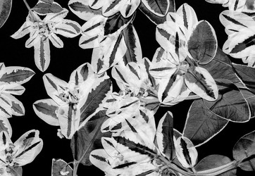 Similar image 11931561