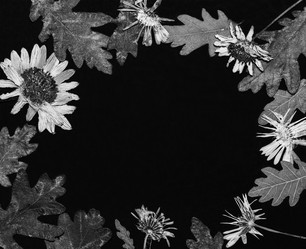 Similar image 11935503