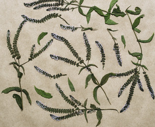 Similar image 11931564