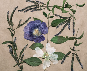 Similar image 11931624