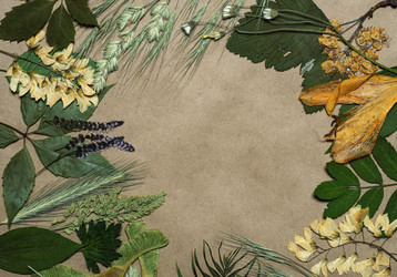 Similar image 11935520