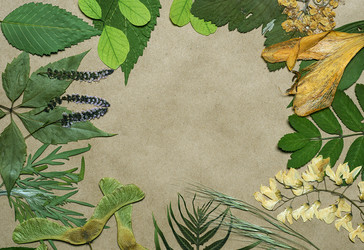 Similar image 11935521