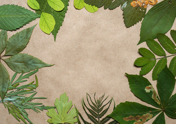 Similar image 11935522