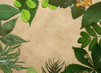 Similar image 11935523