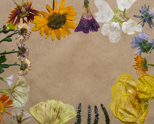 Similar image 11935524