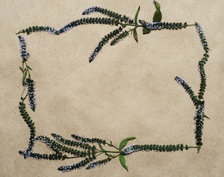 Similar image 11935526