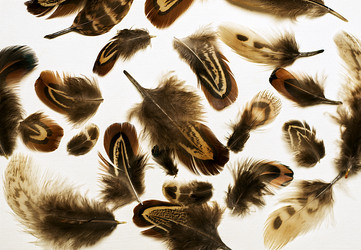 Similar image 11931627