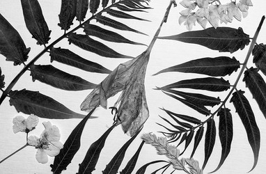 Similar image 11931628