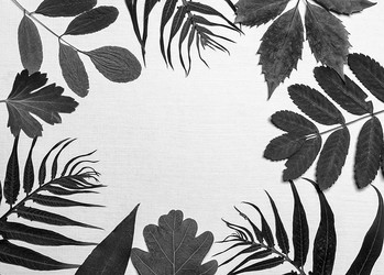 Similar image 11931629