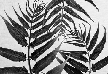 Similar image 11931630