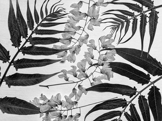 Similar image 11931631