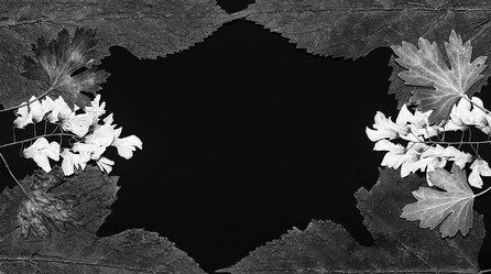 Similar image 11935528