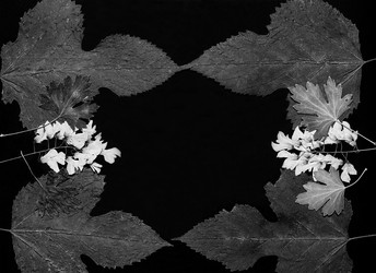 Similar image 11935529