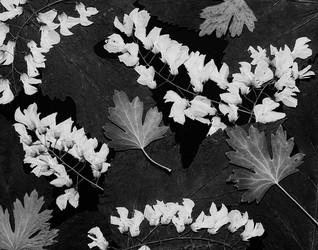 Similar image 11935530