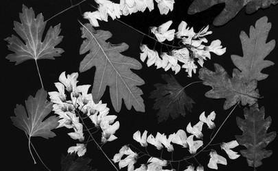 Similar image 11931632